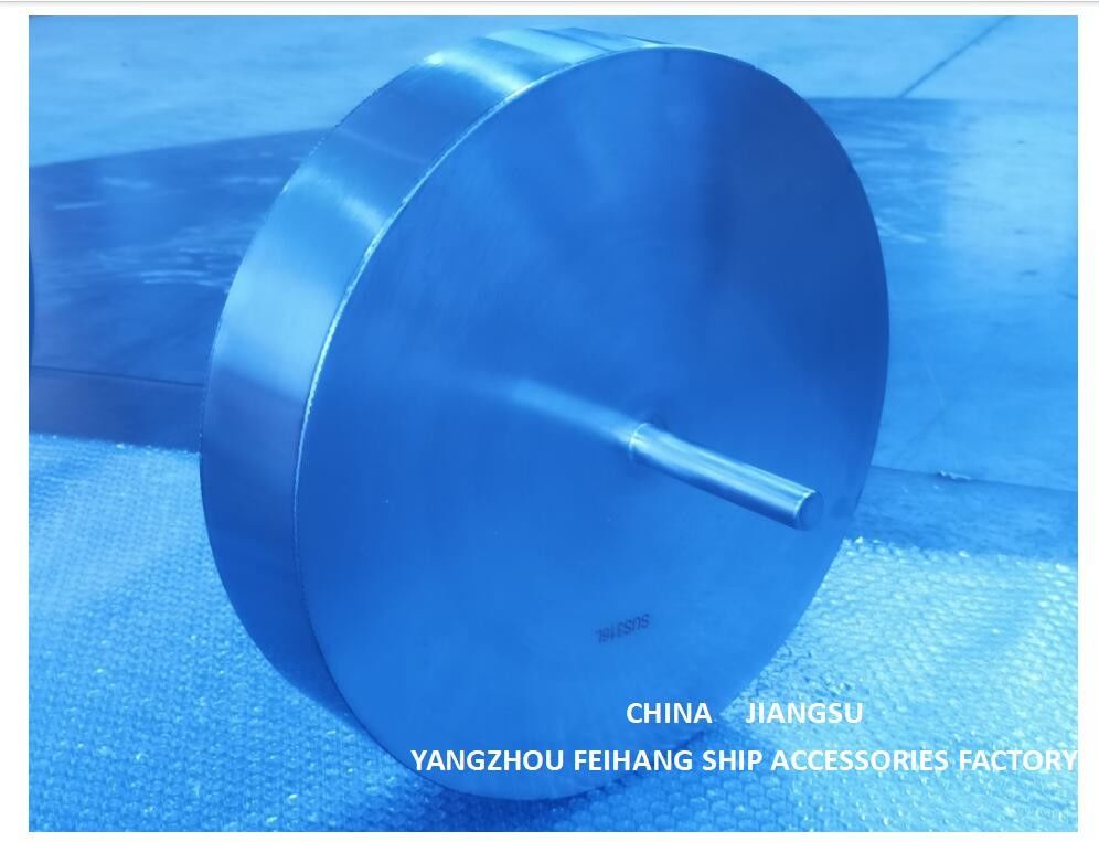 Roestvrij staal316l Drijvende Schijf voor van de Makeryangzhou Feihang van de Ballastopening de Hoofdfabriek van het Schiptoebehoren