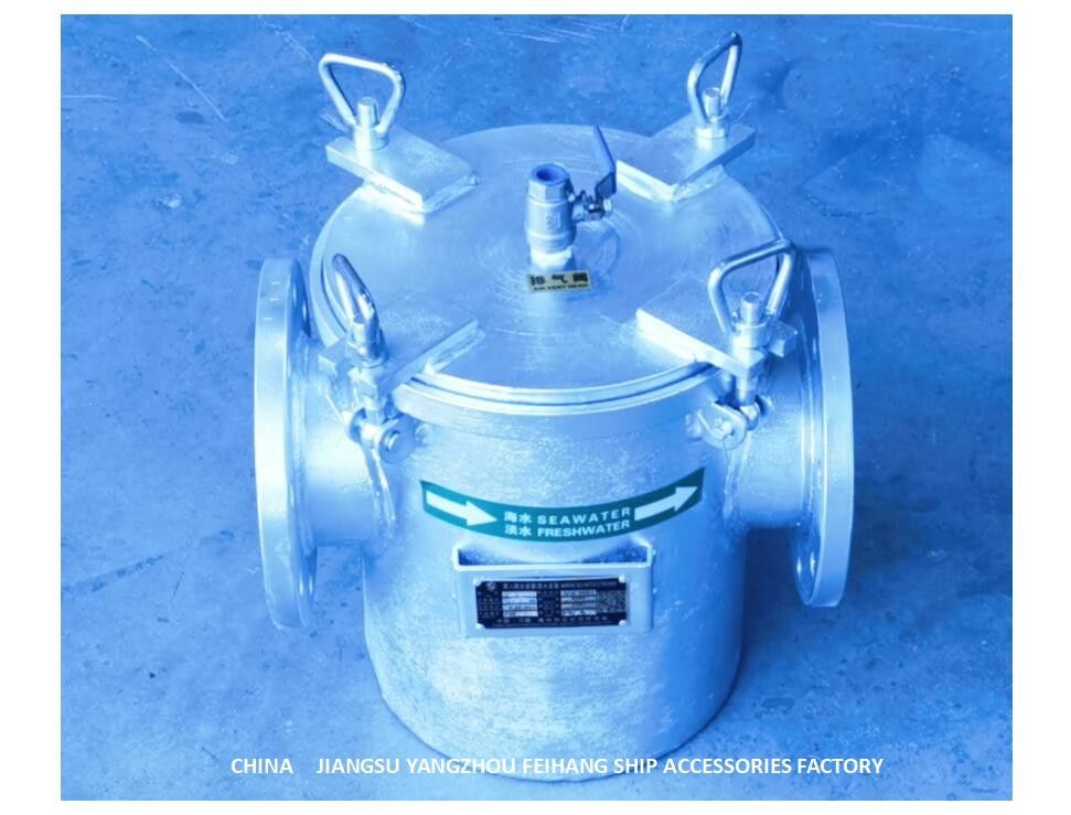 Het Model van zeewaterzeven: Van het het LichaamsKoolstofstaal van AS125 CB/T497-2012 zonnebaadt Hot-Dip Gegalvaniseerde de Filterpatroon Type