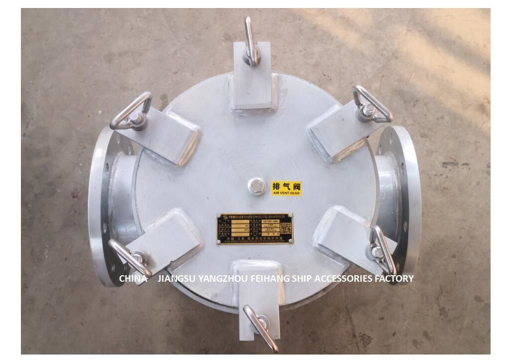 Rechte throutype Gegalvaniseerde Zeewaterfilter voor Hulp Modelas150 CB/T497-2012 het Koolstofstaal Hot-Dip van de Zeewaterpomp