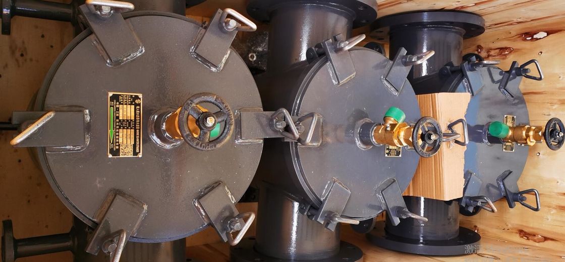 Van het de FilterKoolstofstaal van het Koolstofstaal Gegalvaniseerd Zeewater van de Zuigingsfiltecarbon Gegalvaniseerd het Staallichaam, Roestvrij staalfilter