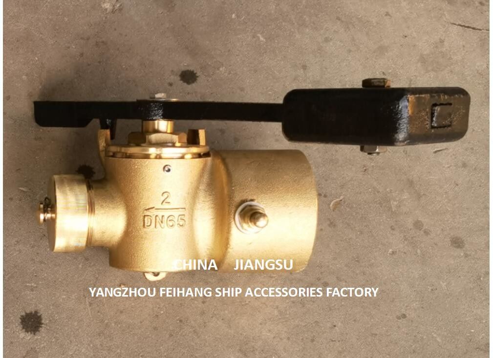 Technische gegevens voor DN65 CB/T3778