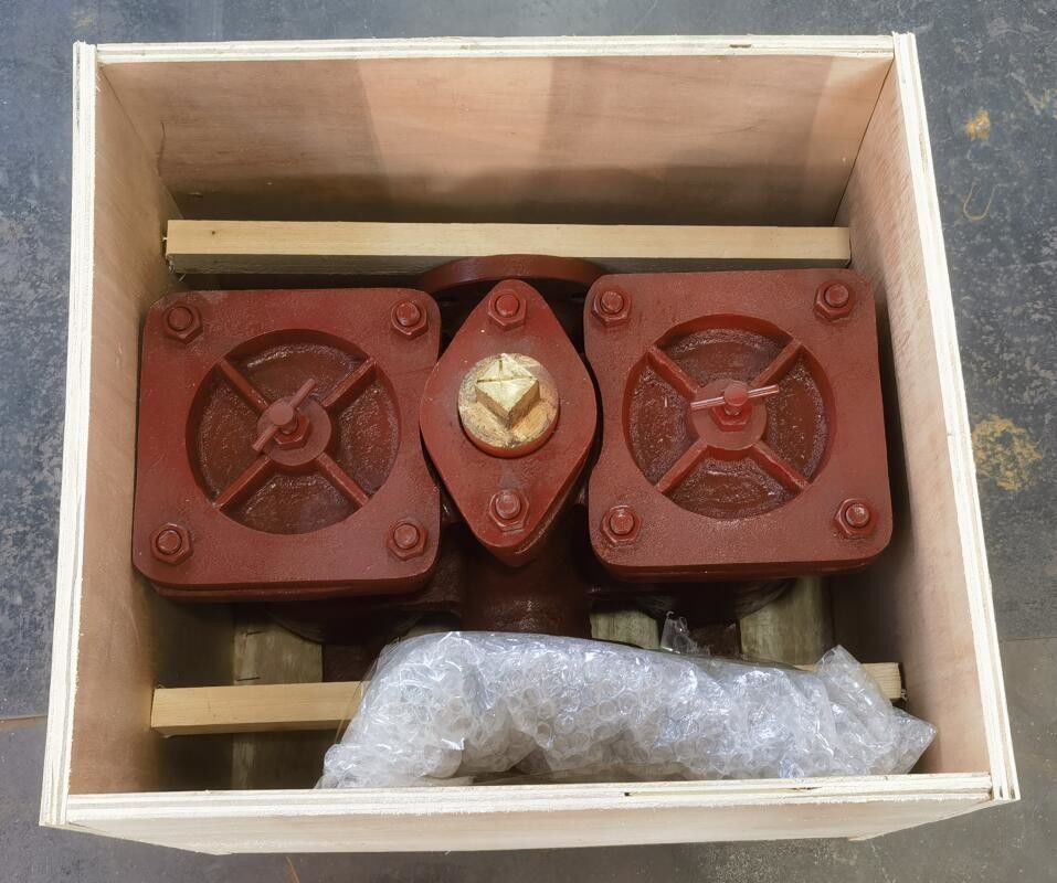 Duurzaam gietijzeren flensfilter duplex oliezuiger geschikt voor 0,5mpa drukbereik model As50 Cb/T425