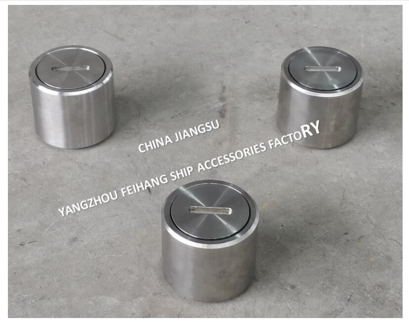 Deck sounding tubes van roestvrij staal & deck sounding heads van roestvrij staal type C DN40