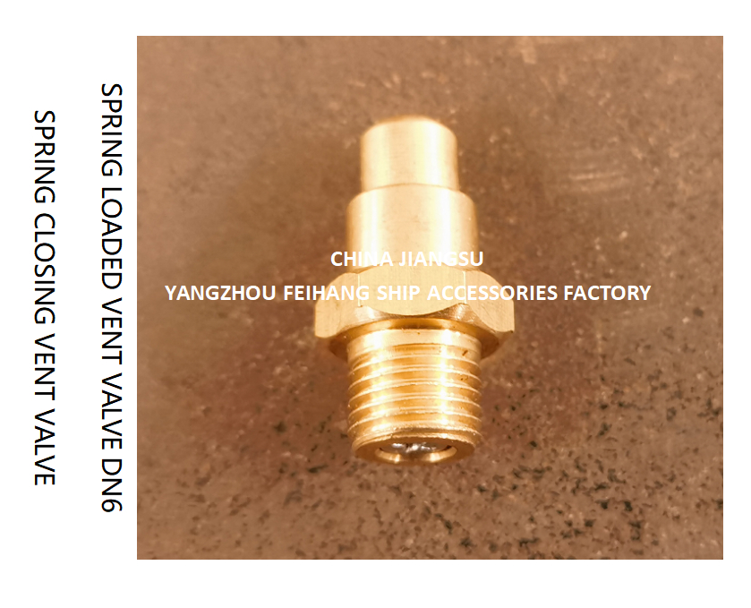 DN6 Brass Spring Loaded Vent Valve with Threaded Ends Compliant to CB/T3778-1999 Standards