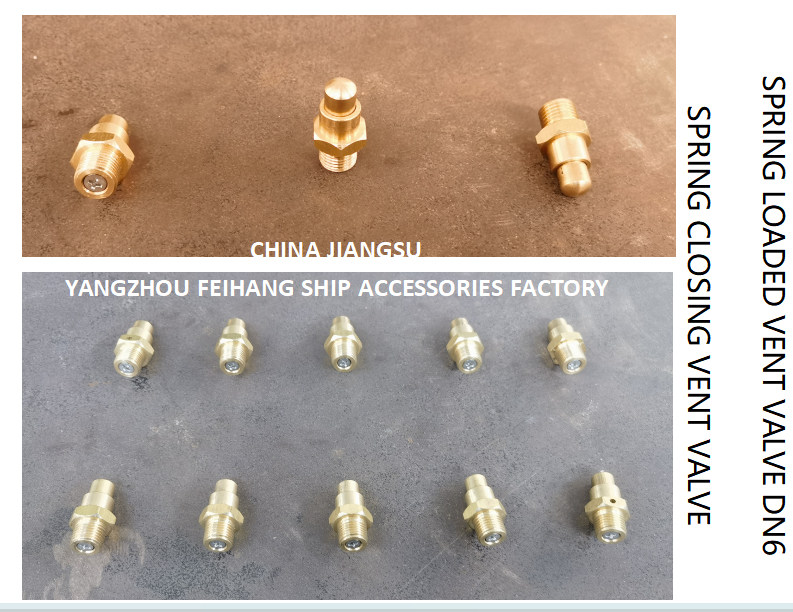 DN6 Brass Spring Loaded Vent Valve with Threaded Ends and CB/T3778-1999 Standard