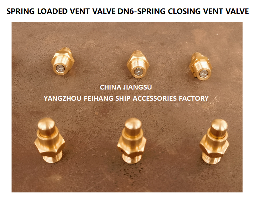 DN6 Brass Spring Loaded Vent Valve with Threaded Ends and CB/T3778-1999 Standard