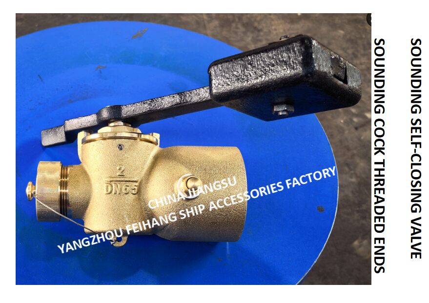 DN65 CB/T3778-99 GROOFENDE KOKKEN GROOFENDE EINDEN & GROOFENDE ZELF-Sluitende Klep voor GROOFENDE PIPE